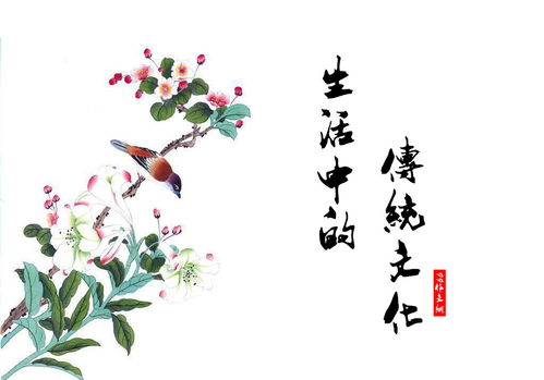 傳統文化校園作文三級作文