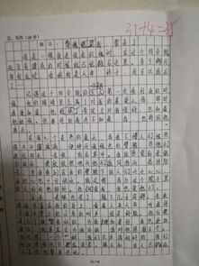 校園的一棵老槐樹(shù)作文