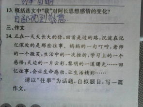 校園情作文七級600字