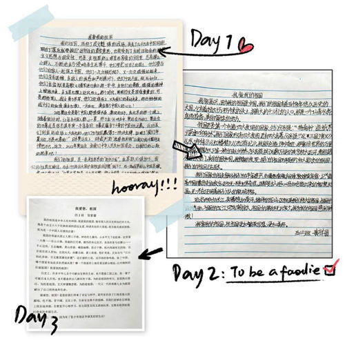 我愛(ài),作文,祖國,校園