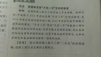 校園有趣的一件事100字作文三級作文