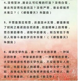 紅色膠東走進(jìn)校園作文