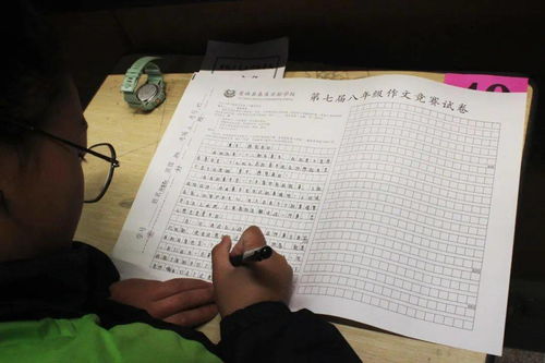 當你踏入實(shí)驗校園的時(shí)候作文