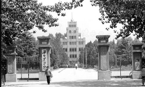 西北農林科技大學(xué)博覽園作文,西北農林科技大學(xué)校園環(huán)境,西北農林科技大學(xué)校園