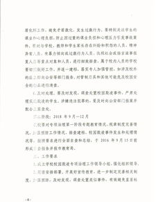 校園欺凌專(zhuān)項整治作文