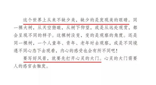 總會(huì )想起你的好作文友情校園生活