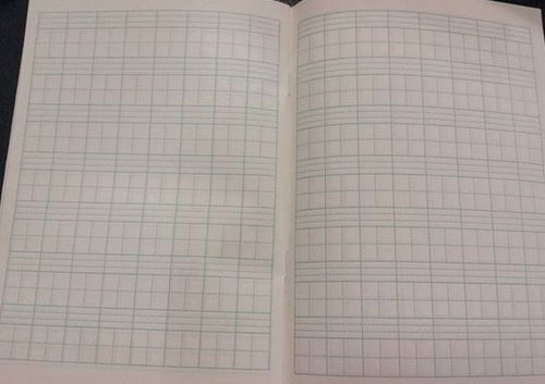 鄉村校園作文大全