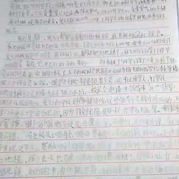 來(lái)自校園的美好作文1000字
