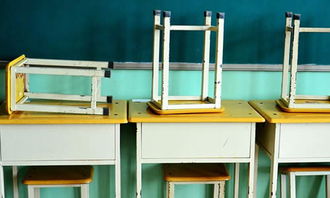 作文校園兩三事