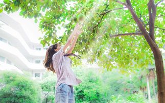 高中校園寫(xiě)景作文600