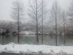 下雪后校園雪景英語(yǔ)作文