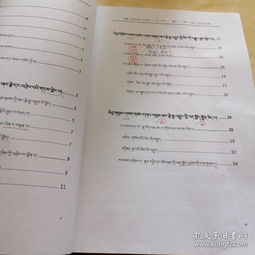 描寫(xiě)西南民族大學(xué)校園的作文