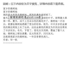 校園的梨樹(shù)作文400字