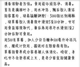 校園300字作文運用說(shuō)明