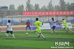 作文,足球比賽,初中生,校園