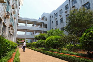 新昌城關(guān)中學(xué)校園環(huán)境的作文