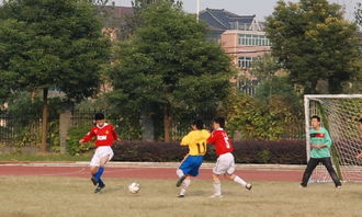 一場(chǎng)激烈的校園足球賽作文