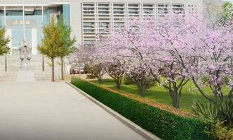 校園的樹(shù)200字作文