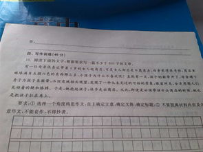 以校園欺凌為主題寫(xiě)一篇作文不少于800字