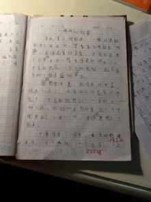 寫(xiě)校園趣事作文700字