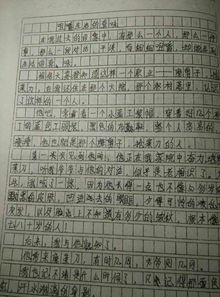 寫(xiě)校園人物的作文我的老師