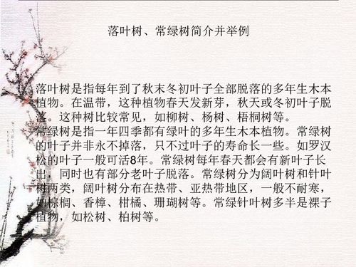 建文明校園樹(shù)文明校風(fēng)作文議論文