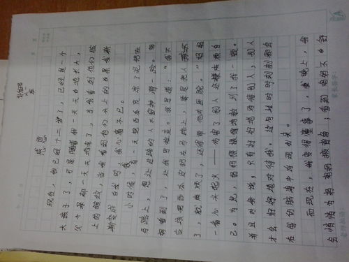 校園文化紅軍傳人中學(xué)生作文