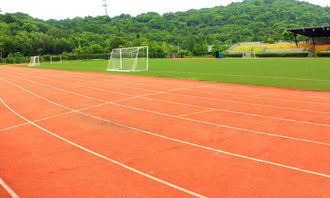 校園一角操場(chǎng)作文300字最優(yōu)秀,校園一角操場(chǎng)作文400字寫(xiě)景,三年級作文校園一角操場(chǎng)300字