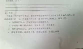 校園不道德現象作文抄襲