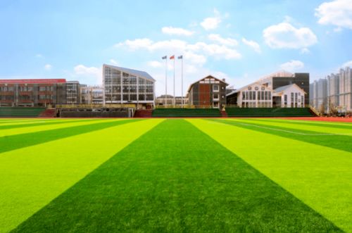 校園足球場(chǎng)的景的作文