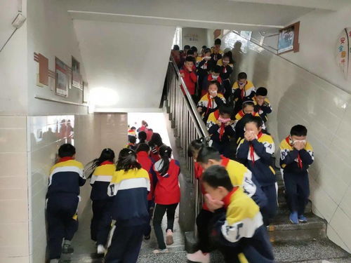 作文,演練,校園,活動(dòng)