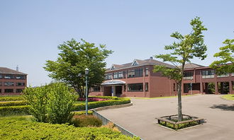 我理想中的校園作文300