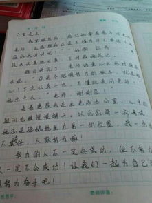 校園里的什么作文500字,校園里的什么樹(shù)作文300個(gè)字,校園里的什么作文450字