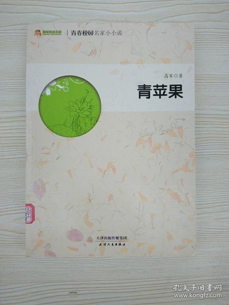青春校園作文小說(shuō)