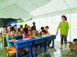 小鬼當家作文400字作文,小鬼當家獲獎作文,小鬼當家作文300字