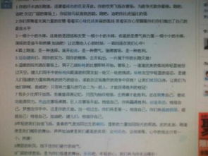 新聞報道校園運動(dòng)會(huì )英語(yǔ)作文