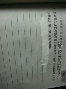 作文,花壇,校園