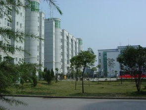 作文,建議書(shū),節日,校園