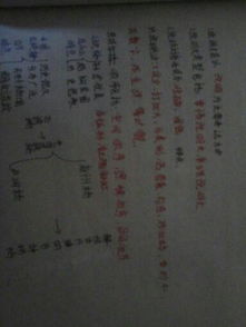 我的校園作文按照游覽順序寫(xiě)的