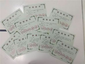 梅隴中學(xué)校園一隅作文400字