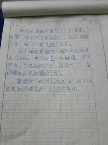 校園一處景物作文300四級作文
