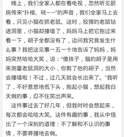 作文難忘的校園生活500字