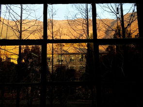 關(guān)于校園窗外的作文高中