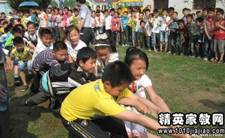 校園活動(dòng)作文350