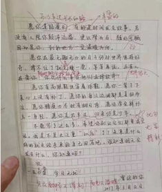 初二學(xué)生作文我的校園