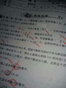 我們的校園作文200字,我們的校園小作文300個(gè)字,我們的校園小作文100字