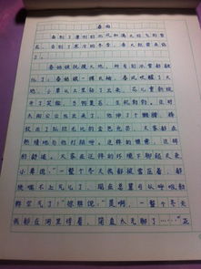 校園的夜晚400字作文600字