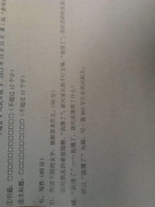 作文,夏天,校園,字初三