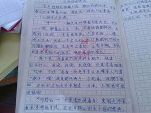 校園的一角作文400字初一,校園的一角作文400字左右,校園的一角作文400字五年級