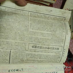 我的五中校園作文600字